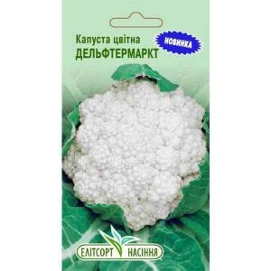 Купить семена Капусты цветной Дельфтермаркт Цена, фото, описание ...