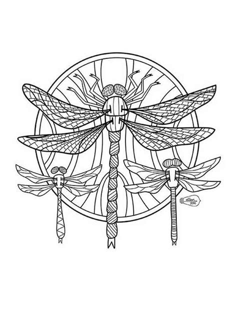 Dragonfly Coloring Pages For Adults