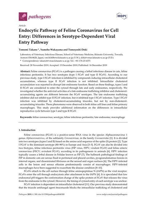 PDF Endocytic Pathway Of Feline Coronavirus For Cell Entry