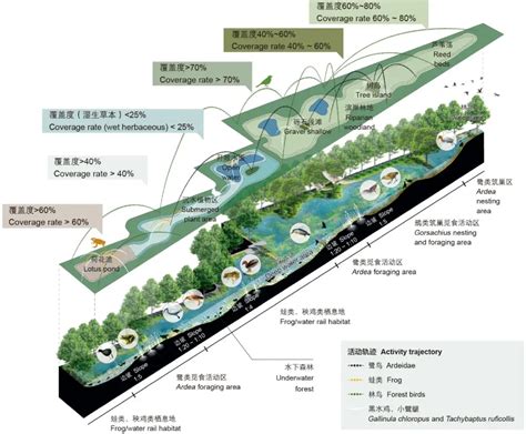 Aecom圩田湿地生境修复案例：浙江鉴洋湖湿地公园首启区 知乎