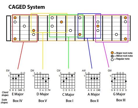 Guitar Caged System Diagram Caged Guitar Theory System Lear