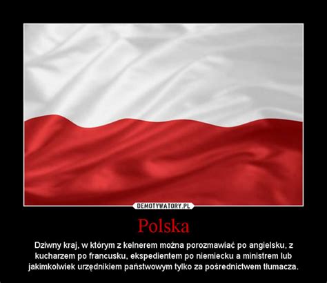 Polska Demotywatory Pl