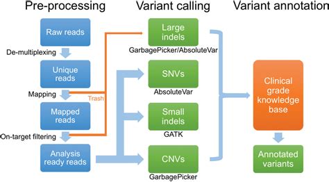 Next-generation sequencing data analysis pipeline. Data analysis occurs ...