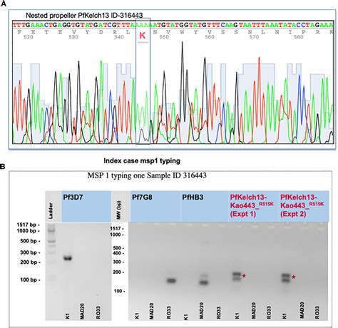 Frontiers Identification Of An In Vitro Artemisinin Resistant