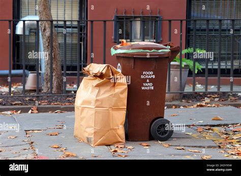 A brown bin for food scraps and yard waste set at curbside for sanitation pickup in Brooklyn ...