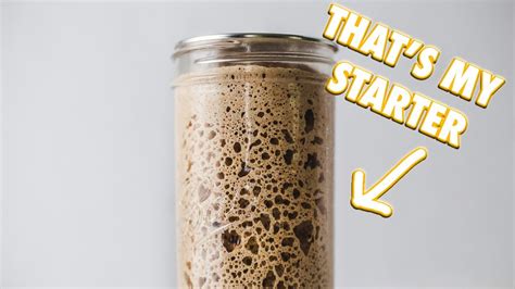 The Ultimate Sourdough Starter Guide - Herbal Plant Power