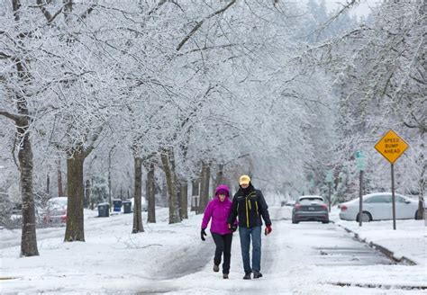 Ice storm wreaks havoc in Eugene, Springfield, Lane County, surrounding ...