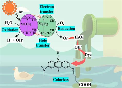 Schematic Illustration Of Photocatalysis Mechanism Of Mg Doped Zno