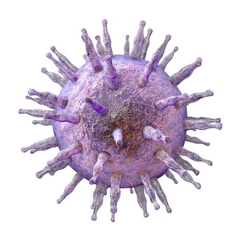 Epstein Barr Virus T Cell Therapy Mitigates Challenges Of Car Treatments In Lymphoma