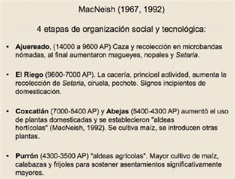 Principales Etapas De Innovaci N Tecnol Gica Patrones De Vida