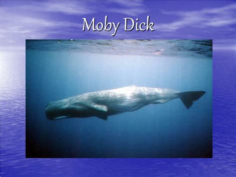 Ppt Moby Dick Powerpoint Presentation Free Download Id6588145