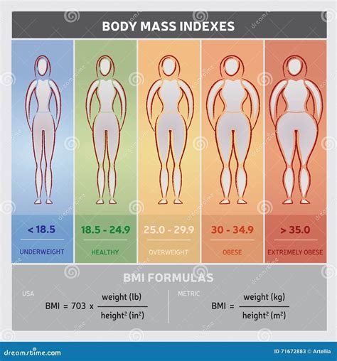 Diagramme Graphique De Diagramme Dindice De Masse Corporelle Avec Des Silhouettes De Corps