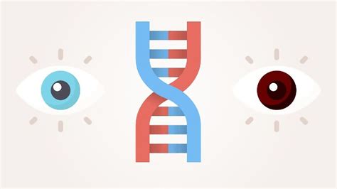 Gene vs Allele: Definition, Difference and Comparison | Technology Networks