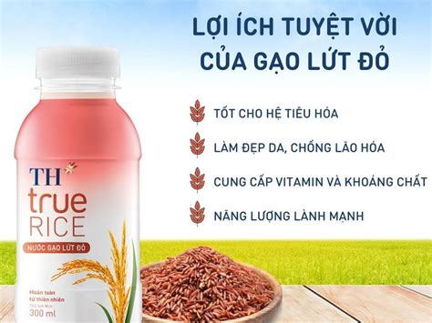 Thùng 24 chai nước gạo rang TH True Rice 300ml