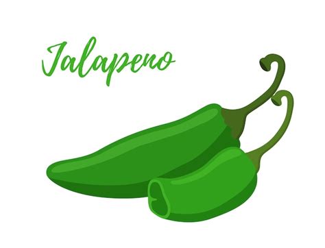 Jalapeño con rebanadas pimiento verde picante Vector Premium