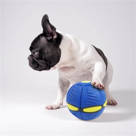 French Bulldog Toys – frenchie Shop