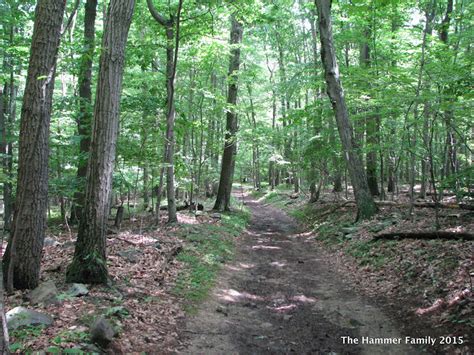 Hiking With Hammer: Annapolis Rock Hike on the Appalachian Trail