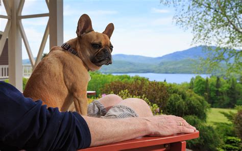 Maine Pet Friendly Lodging | Moosehead Lake Inn