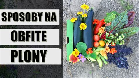 Jak Naturalnie Zwi Kszy Plany Sposoby Na Ogromne Zbiory Warzyw