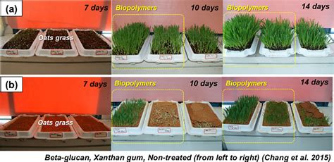 Figure 1 From Review On Biopolymer Based Soil Treatment Bpst