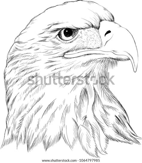 Vector Logo Eagle Tattoo Tshirt Design Stock Vector (Royalty Free) 1064797985 | Shutterstock