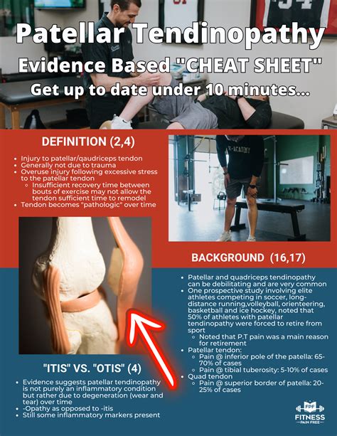 Patellar Tendinopathy Evidence Based Guide [what Physical Therapists