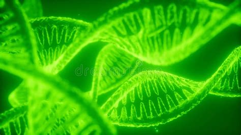 Structure of the Dna Double Helix Animation Stock Video - Video of ...