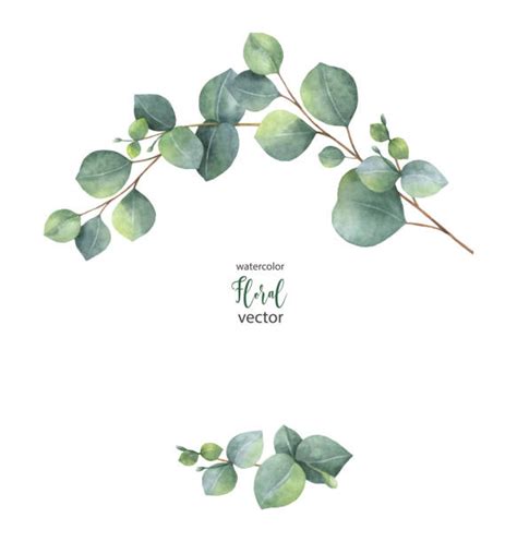 9 600 Eucalyptus Wreath Stock Illustrations Royalty Free Vector Graphics And Clip Art Istock