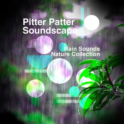 Pitter Patter Soundscape Album By Rain Sounds Nature Collection Spotify