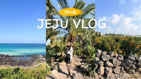 제주 여행 Vlog 먹다가 끝난 P들의 알찬 제주도 3박 4일 여행코스 🏝 Youtube