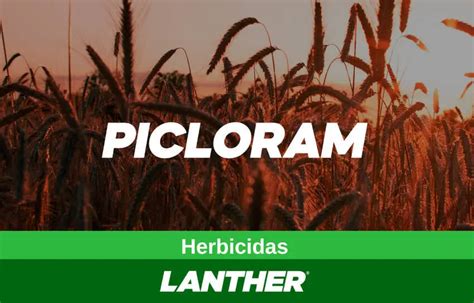 Herbicida Picloram Lanther Quimica Agrofy