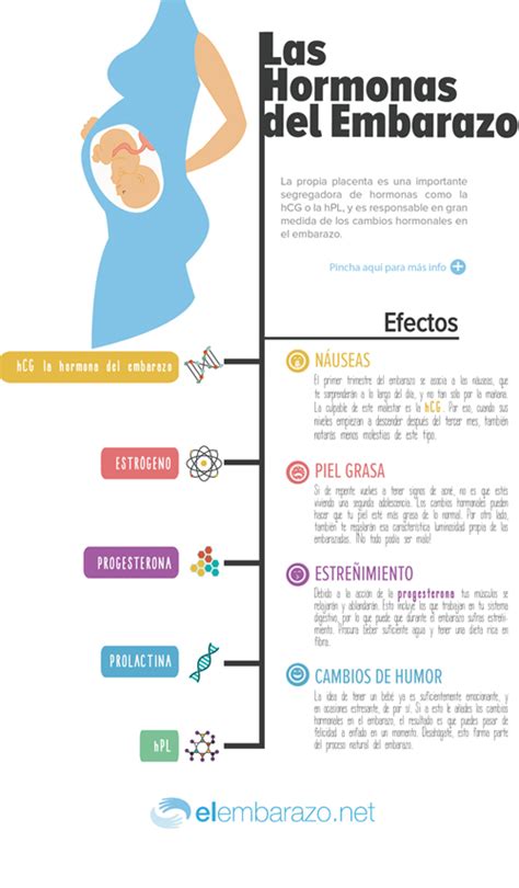 Infografía Cambios Hormonales En El Embarazo Blog De