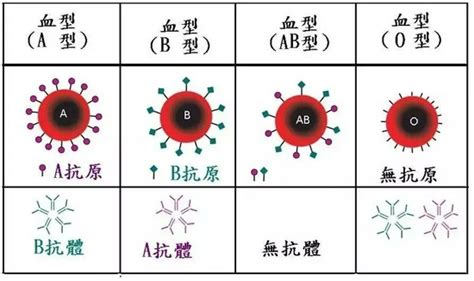 到底什么血型最招蚊子？你们要不要先统一下口径？蚊子血型二氧化碳新浪科技新浪网