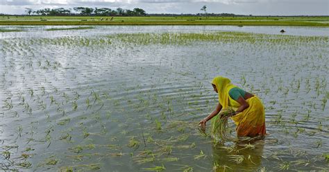 La Crisi Climatica Colpisce Di Pi Le Donne E Le Famiglie Povere