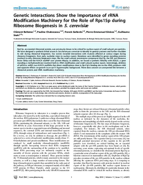 Pdf Genetic Interactions Show The Importance Of Rrna Modification