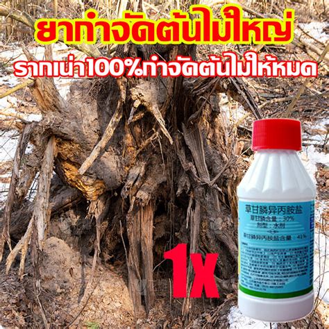 💥ตรงไปที่ราก รากไม้เน่า1000 💥 ยากำจัดต้นไม้ สารกำจัดกอไผ่ ผงกำจัดต้นไผ่