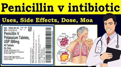 Penicillin V Penicillin V Antibiotic Drugs Mechanism Penicillin