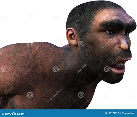 Caveman Neanderthal Ancient Man Isolated Stock Image Illustration