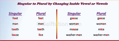 Rules Of Singular And Plural Nouns With Examples Selftution