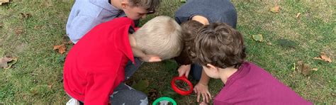 Smallwood Academy Forest School