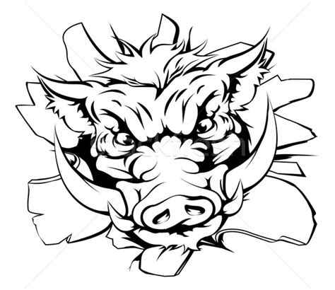 Razorback Drawing at GetDrawings | Free download