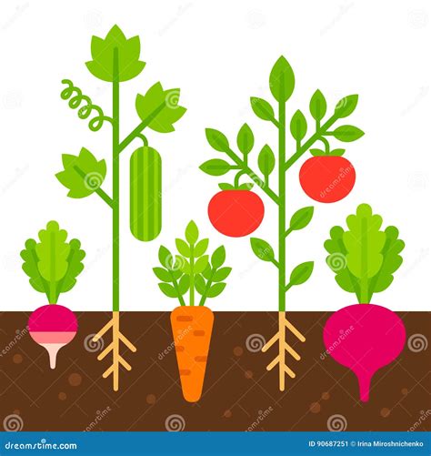 Cartoon Vegetable Garden Background | Garden