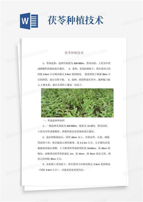 茯苓种植技术word模板下载编号lmgwembe熊猫办公