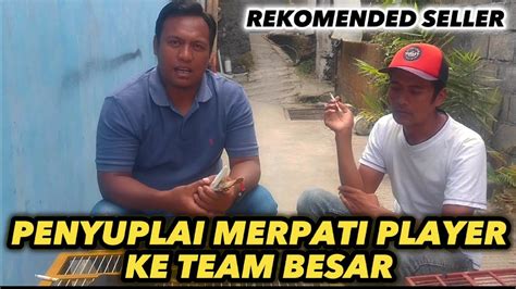 GREBEK PENJUAL PETERNAK BURUNG MERPATI SPESIALIS SUPPLY PLAYER KE