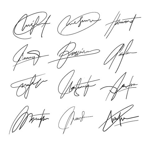 hand drawn signature set  vector