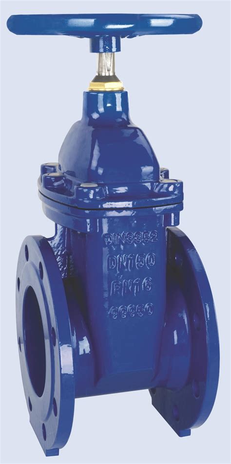 Bs Dn Pn Di Resilient Soft Seat Ductile Iron Gate Valves China