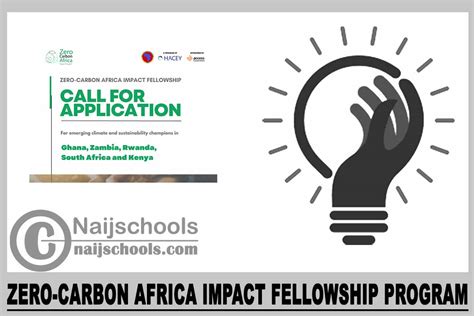 Zero Carbon Africa Impact Fellowship Program 2023 Naijschools