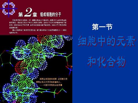 高中生物必修一第二章第一节细胞中的元素和化合物word文档免费下载亿佰文档网