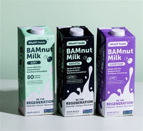 Whatif Foods Dairy Free Bamnut Milk