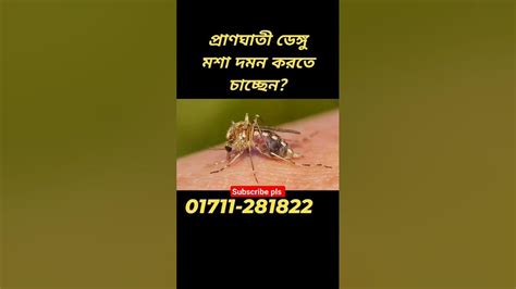 ডেঙ্গুমশার উপদ্রব থেকে সচেতন হন Pestcontrol Termitecontrol